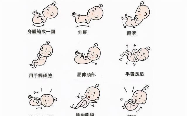 胎动|什么时候胎动最频繁?盘点胎儿6个“好动”时刻,晚上不是最多的