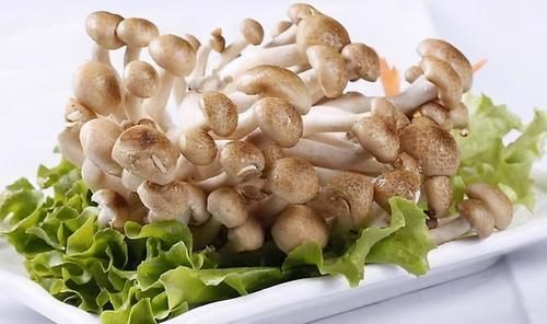 夏季养生，推荐3种食物，排毒消脂，清理肠胃，营养又瘦身