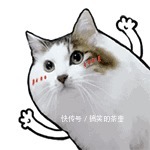 |绝版笑话大全!笑破你的肚子,后果自负!