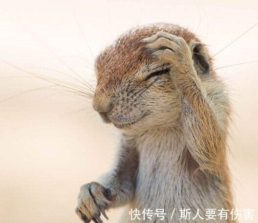 |十条笑话：不好意思亲到你了，不会怀孕吧！你加我微信！