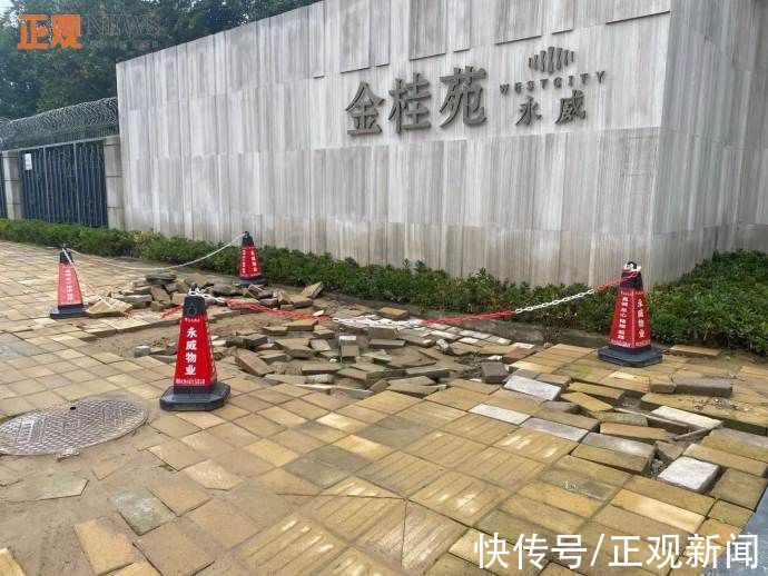 损毁|郑州玉轩路人行道损毁严重 12319:尽快下派所属单位