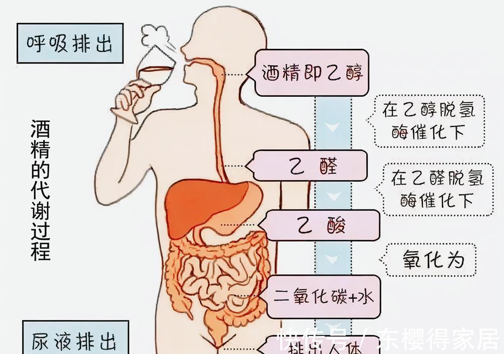 亚洲人|明明欧美人更爱喝酒，为何肝癌患者却比我国少？三个原因很现实