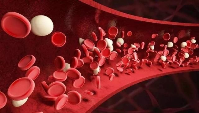 管道|手上有颗“救心丸”,如果通了,血管也就通了,你知道在哪里吗