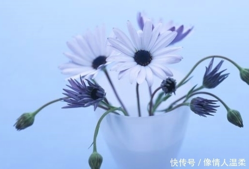 财官|再过3天走大运享富贵的生肖，钱财翻倍涨，前途光明，财官两旺