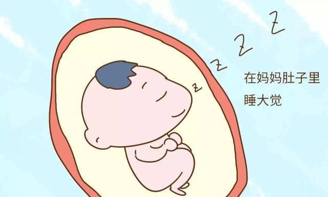 时间段|孕8个月早上胎动厉害,正常吗?这几个时间段胎儿会更爱动