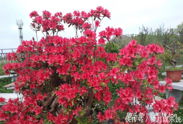 比成都更“香”的西南城市,每年都吸引不少游客前来一饱口福