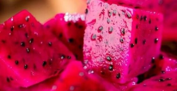 火龙果|春天老人健康身体很重要,多吃3种健康果,寓意吉星高照