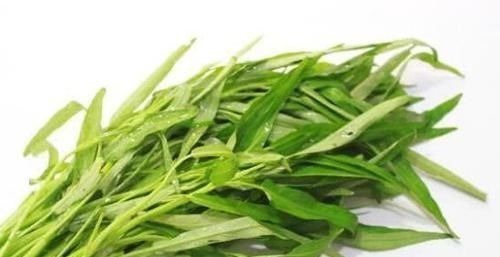 维e|老得慢的女人，都在“偷偷吃”的6种食物，润肤养颜，子宫更健康