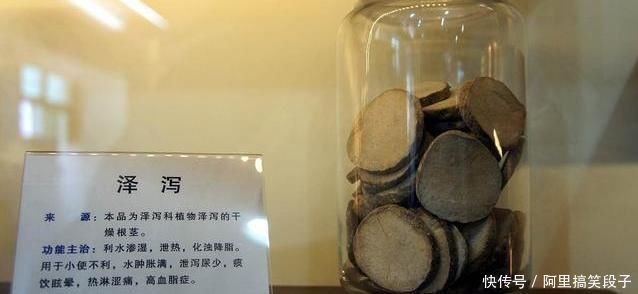 茯苓|一味常用的“除湿”良药,能“通泻三焦之水,清利一身之湿”