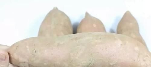 我家一直这样保存红薯,久放不腐烂不发芽,越放越甜现在知道不晚