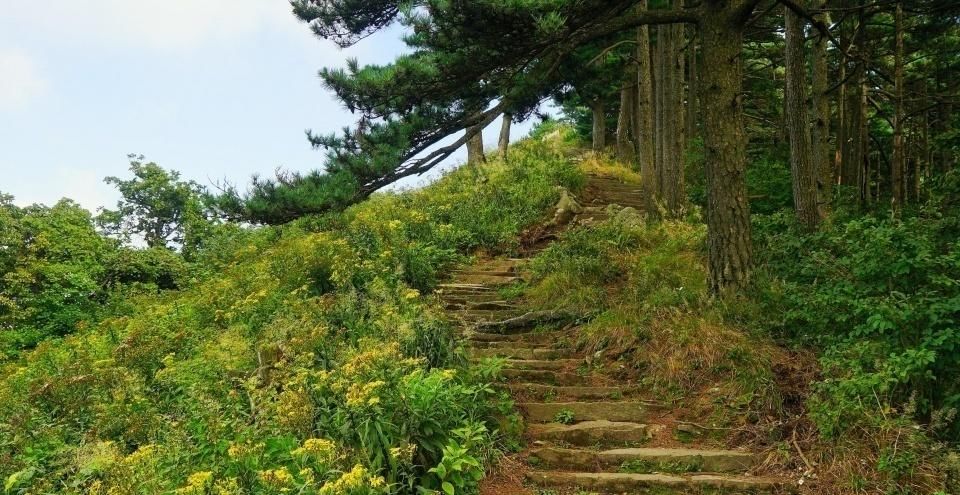 探险|大别山尚未被完整开发的主峰，正是登高探险、避暑纳凉的好去处