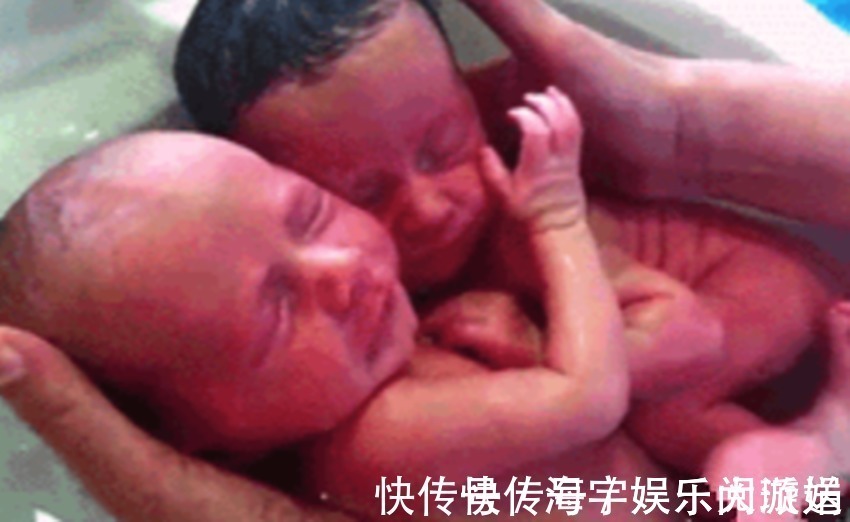 双胞胎|龙凤胎洗澡时,哥哥紧紧地抱着妹妹,这种与生俱来的保护,太有爱