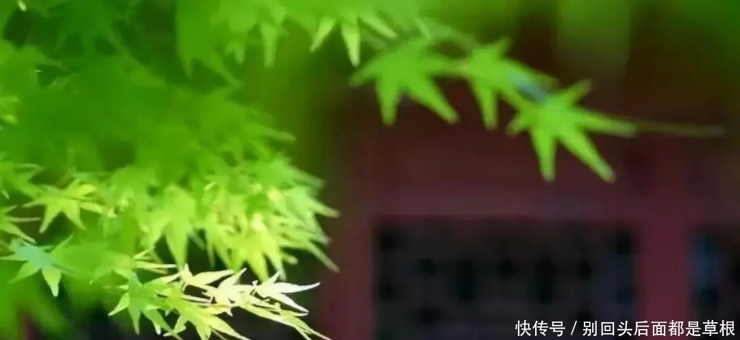 恩情难忘,怨恨易消!(经典好文)!