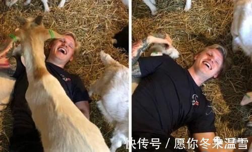 心理健康|山羊瑜伽是5件事的理由以及为什么应该尝试?