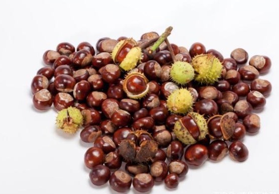 大医典|医生提醒:血脂过高的人,3种素食尽量少吃,升脂不比肥肉慢!