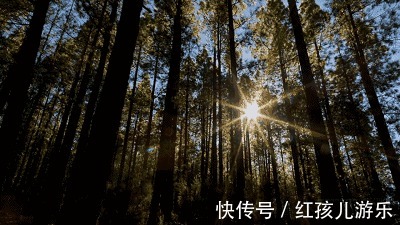 亲子|这个国庆怎么玩儿？给大家白嫖一个地方——街子悠游岛