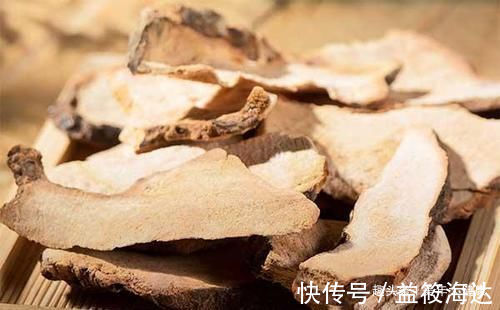 山药|常喝黄芪百病消!黄芪搭配几种食物,功效不得了!男女都要看一看