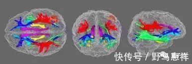 f7小时44分最佳,睡多睡少都不好,养成习惯也没用