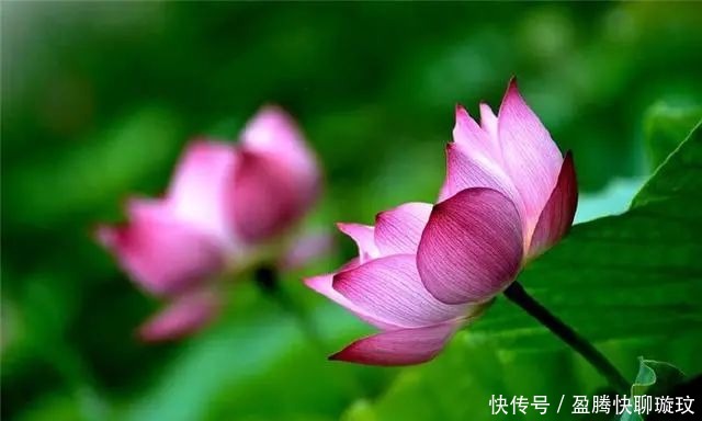 生活|大彻大悟的佛家禅语,人生哲理!