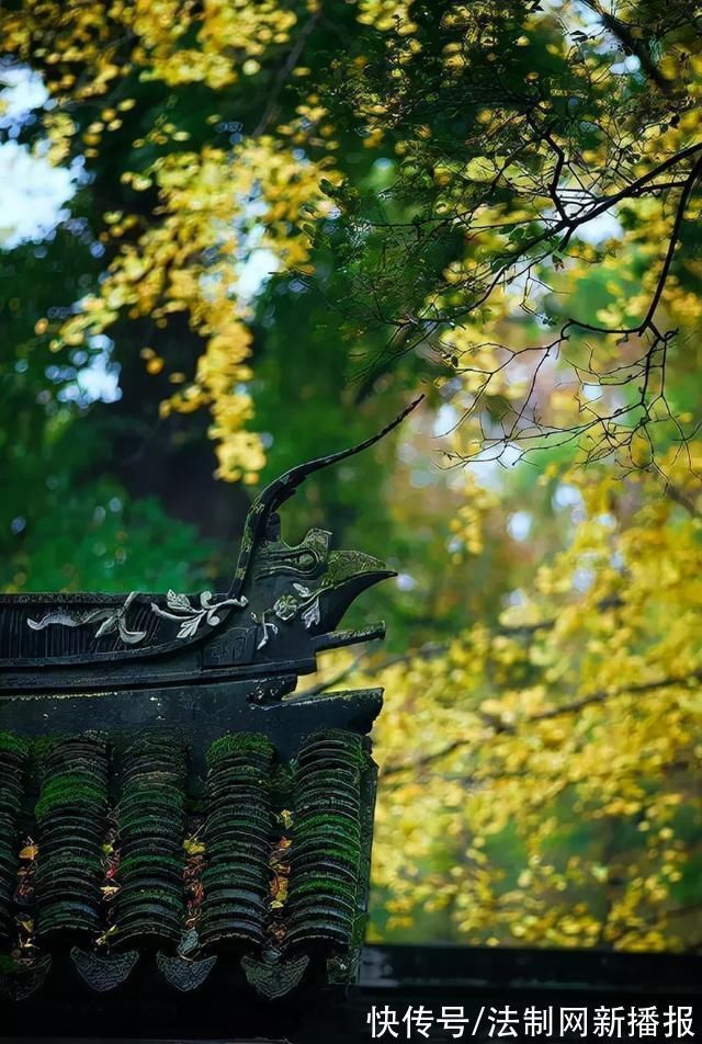 度宗咸淳$诗僧笔下的秋天,不仅有最美的秋色,还有浓浓禅意,令人回味无穷