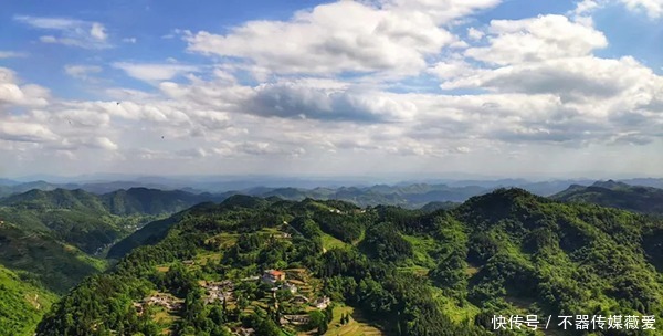 太仙了！古蔺竟然还藏着这样一片“世外茶园”