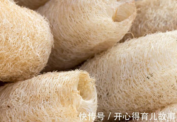 植物烂根怎么办，学会这些就不用担心了