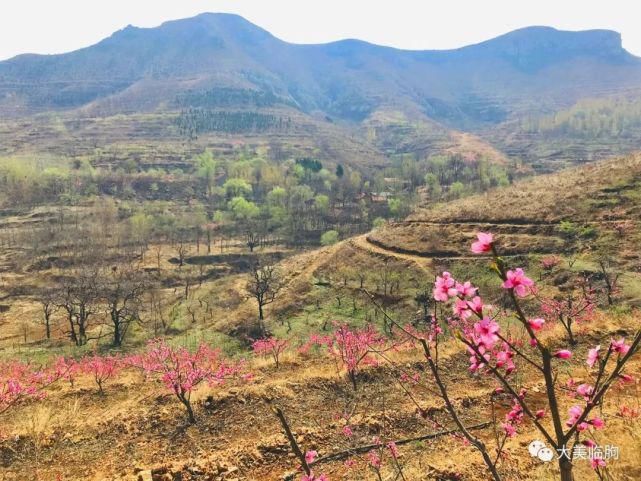 临朐这个小山村你去过吗？