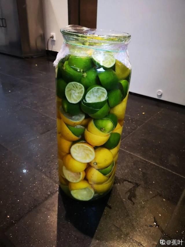 9种花真是老酒鬼，5天一小杯，叶子绿得像打蜡