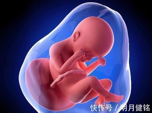 胎动|孕妈肚子一弹一弹的，可能不是胎动，也许宝宝正忙着做“此件事”