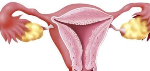 月经|女性绝经一定要难过?3种“病”可能悄悄从你的世界消失,望周知