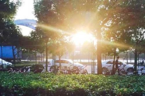 防晒|67岁阿姨,脸上没有老年斑,分享秘诀:多吃点“白色食物”