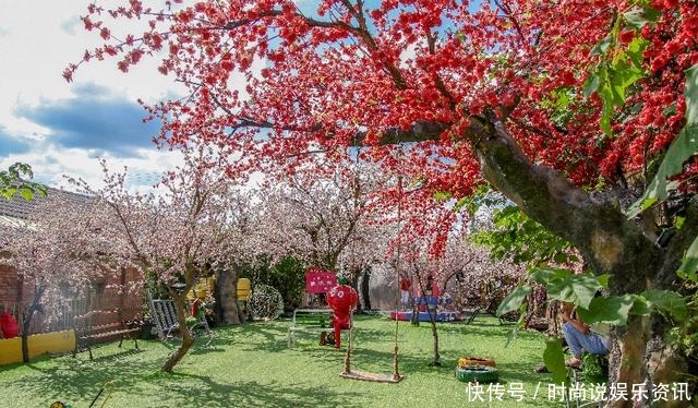 去过|怀化九大网红美食打卡地,你都去过吗