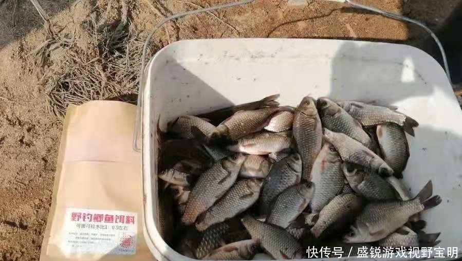 鲤鱼|夏季一下雨就难钓鱼了?其实只需换用这3招,鲫鲤鱼格外好钓