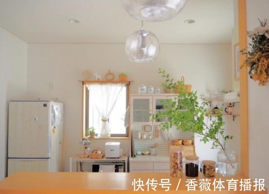 太太|不懂收纳没关系,照着日本主妇做,家里不再脏乱差,日子干净清爽