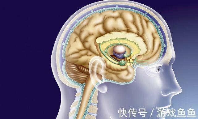 甲状腺癌|癌症患者都是被治死的？癌症晚期的治疗就是陷阱？医生告诉您真相