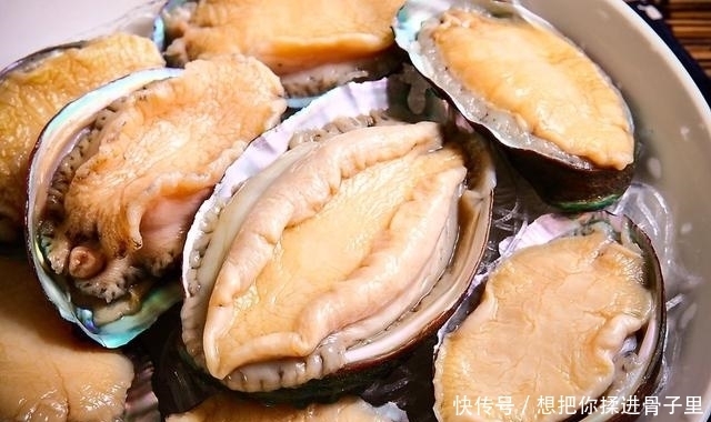 嫂子|吃鲍鱼时别再闹笑话了,当服务员问你“几头”,该如何回复