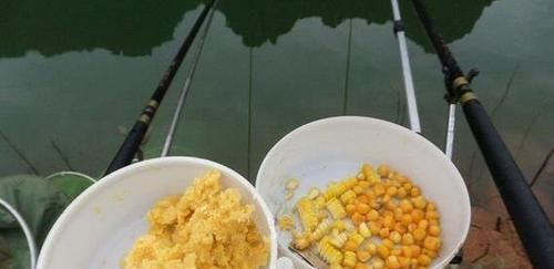 天一热,打窝后常无鱼咬钩,老钓友告诉你3个原因,记好只说一次