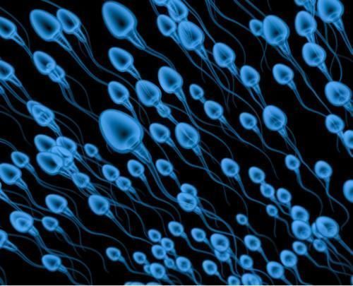 尿道|男人的“绿色黄金”发现了，不是韭菜，家里常备，前列腺疾病靠边站！