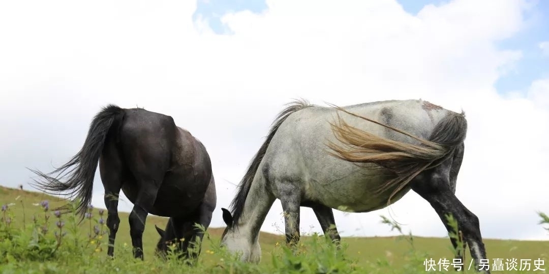 景区|麦积山景区传说之三十五:牧马滩