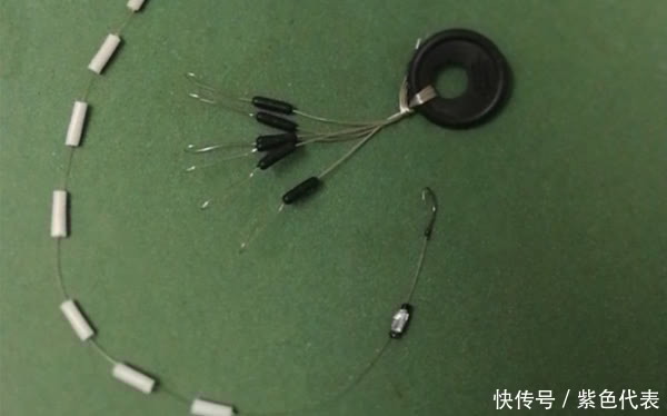 鲫鱼|仲春浅水有大鲫,野钓大鲫鱼,这种钓法最好用,没有之一!