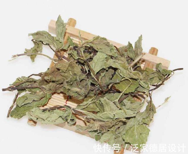薰衣草|睡眠不好,一宝放在枕头边上,一觉睡到大天亮,还可防疾病