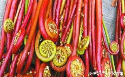 净化|女性要排毒,离不开4种食物,排出毒素,净化血液,滋养女性子宫