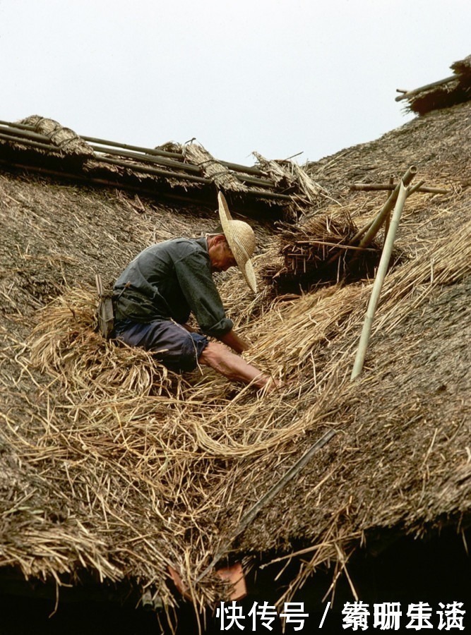 老照片：外国人拍摄的1981年的四川峨眉山，好想回去那个年代