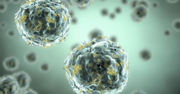 心脑血管疾病|每天吃大蒜的人到底能得到什么呢?也许看完之后,你就知道了!