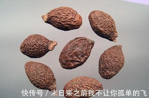 金银花茶|李时珍说它是“咽炎克星”,早晚喝一杯,清肺止咳,拒绝咽炎发作