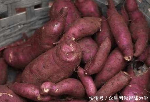 老爸买了30斤红薯没人吃，老妈把它这样做，不用十分钟就被吃光