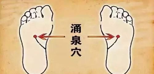 李时珍|李时珍男人的“天然雄激素”,早晚喝一点,老婆更爱你