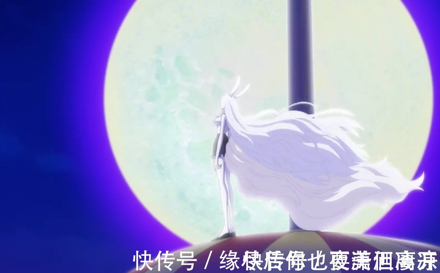 草帽一伙|《海贼王》路飞的第十个伙伴！海迷意料之外，情理之中！