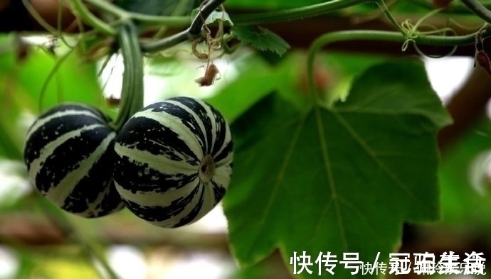 效忠!鬼谷子识人术一个人有没有出息,看这三点就够了