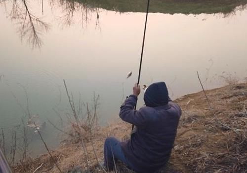 误区|酒米的神奇你听到过多少?关于酒米的几个误区